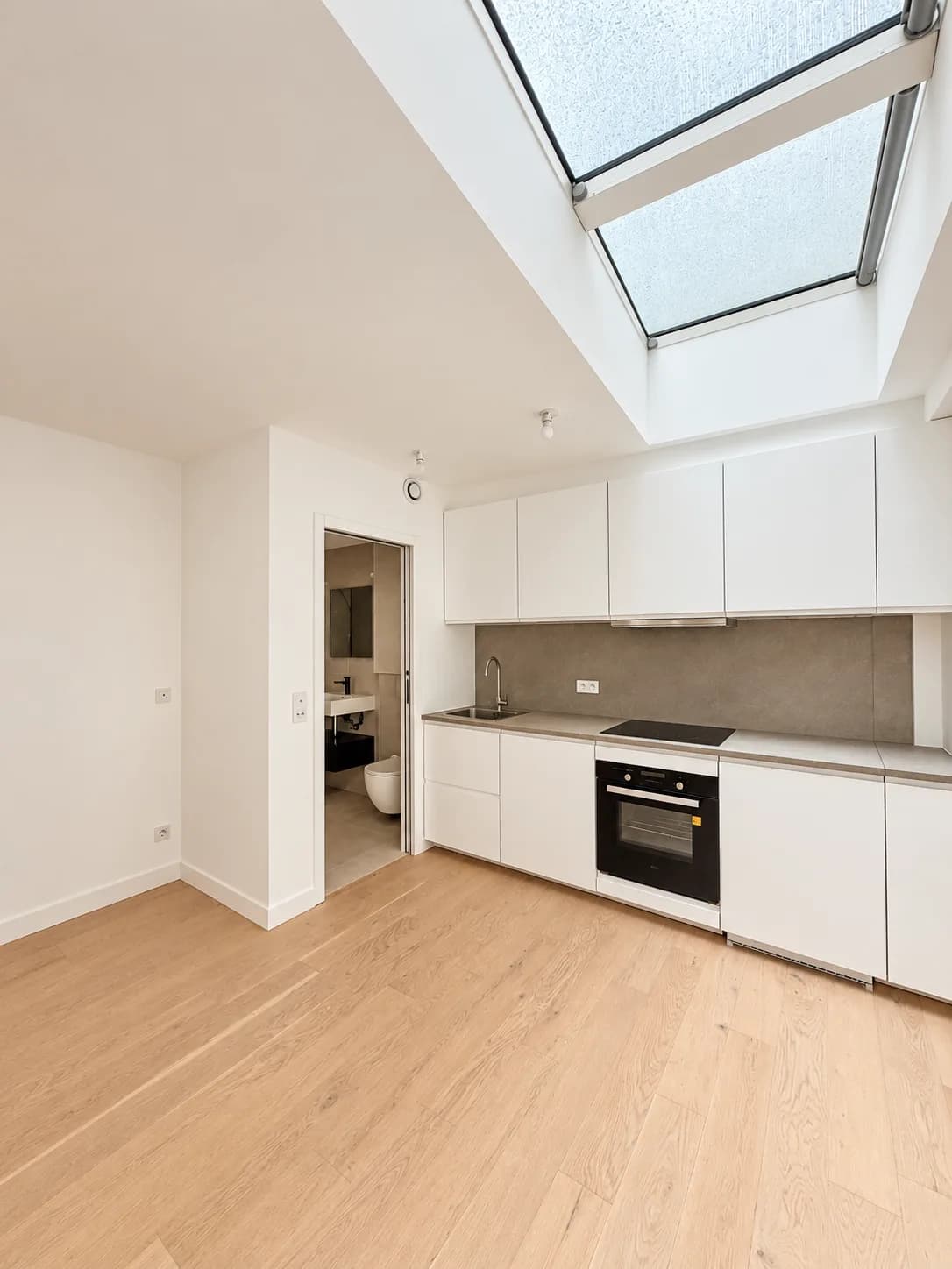 Living space under a glass roof with fitted kitchen and access to the shower room
