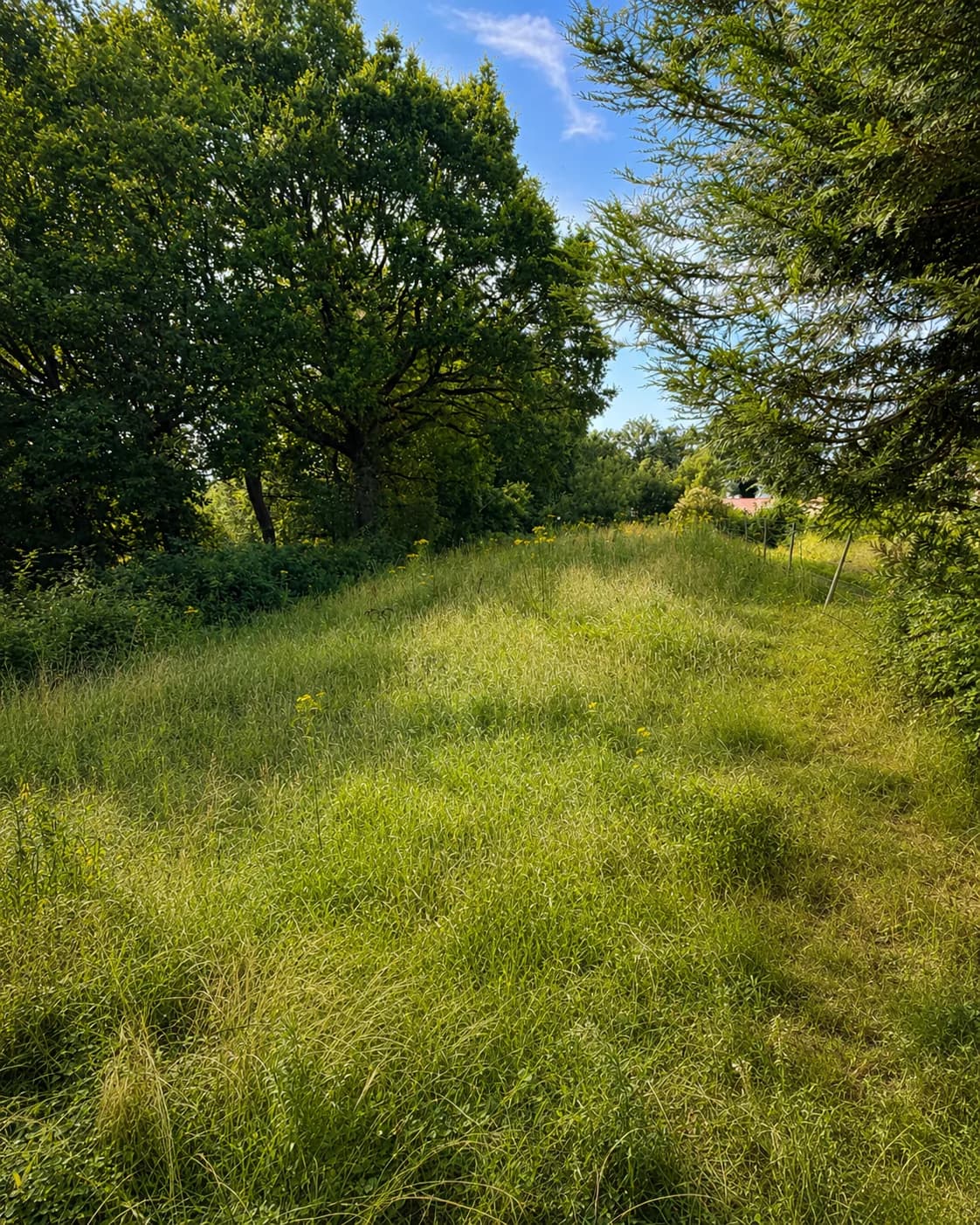 Terrain à bâtir 838 m² – Beaulieu-sous-la-Roche — photo 1